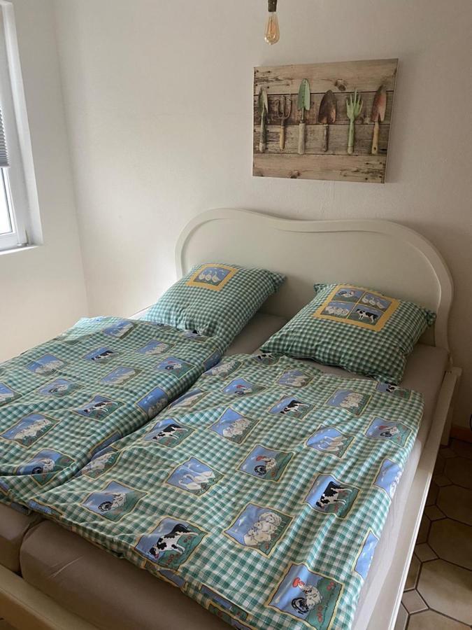 Ferienwohnung Am Gruenen Band, Gretchen Wittingen Esterno foto